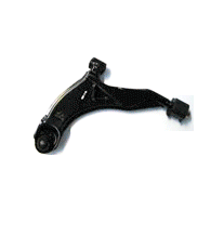 Lower Arm